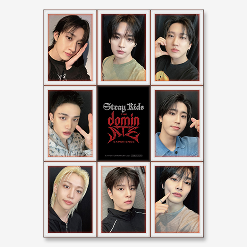 Stray Kids dominATE 映画 特典トレカ 8枚セット 公式品 Stray Kids : The dominATE Experience』ムビチケカード - MOVIE