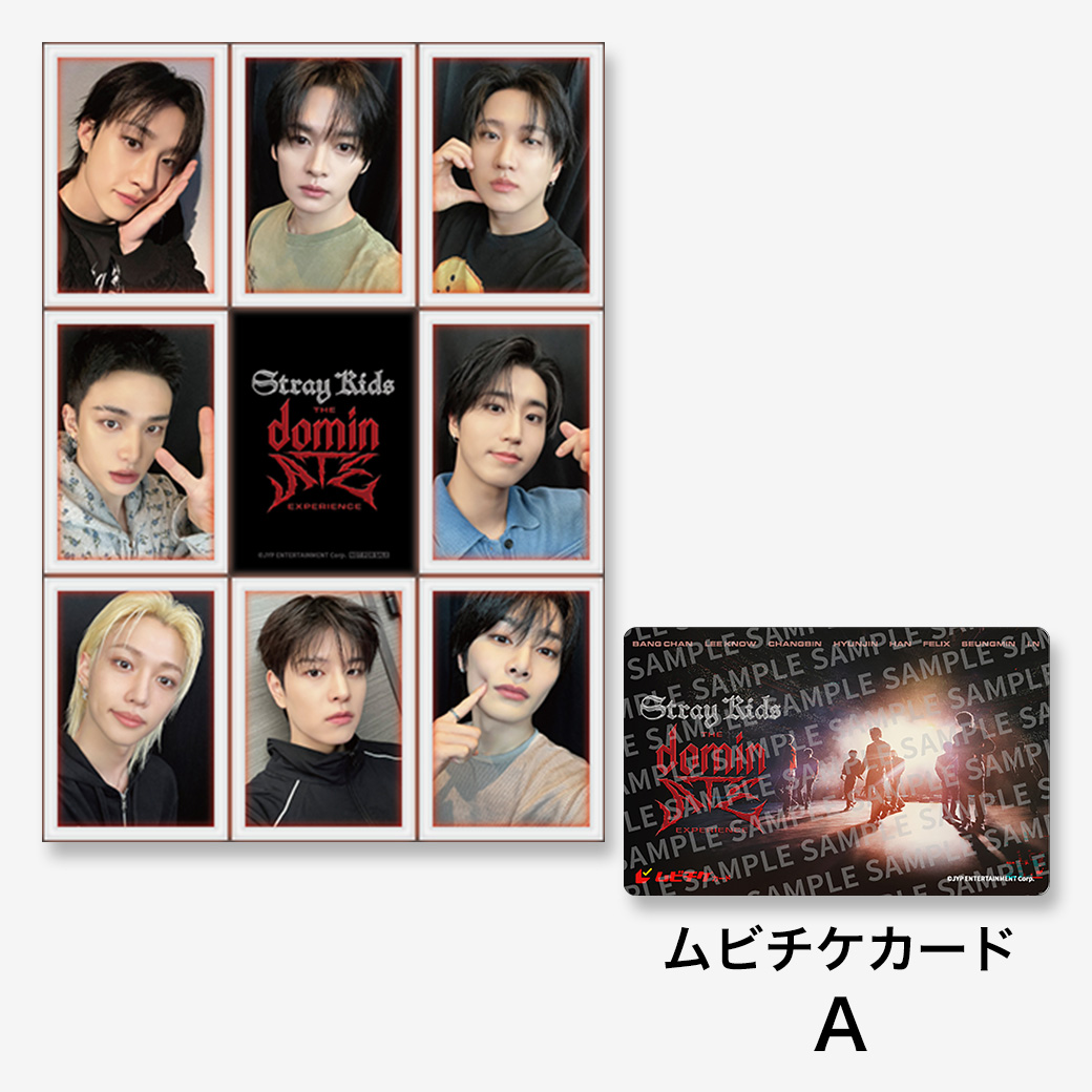 スキズ 4月4日 入場特典 Stray Kids : The dominATE Experience』ムビチケカード - MOVIE